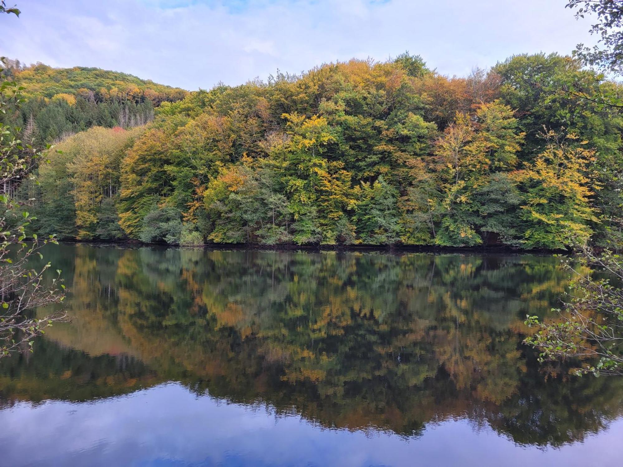 Le Lac Des Moines Condat  ภายนอก รูปภาพ