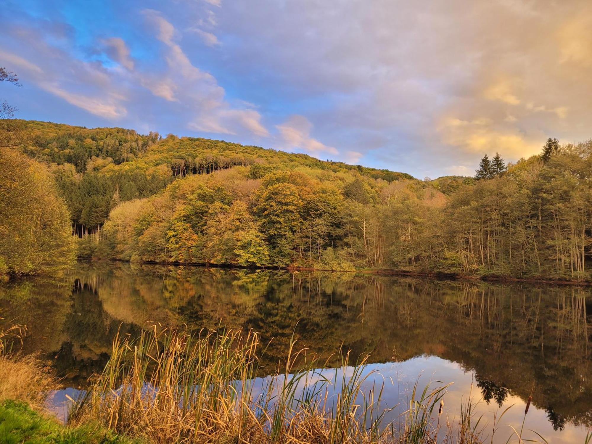 Le Lac Des Moines Condat  ภายนอก รูปภาพ
