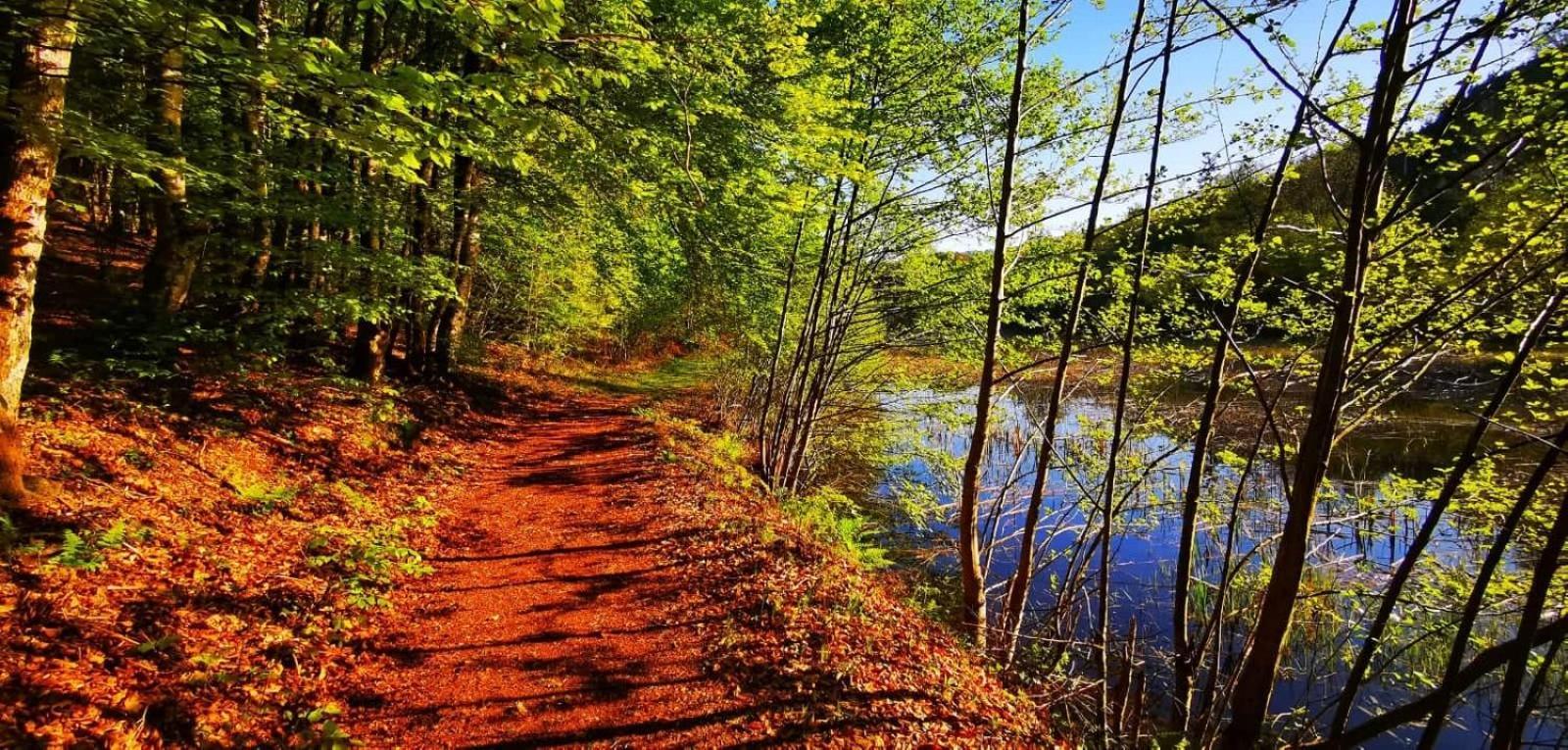 Le Lac Des Moines Condat  ภายนอก รูปภาพ