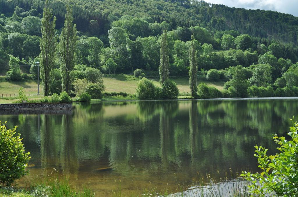 Le Lac Des Moines Condat  ภายนอก รูปภาพ